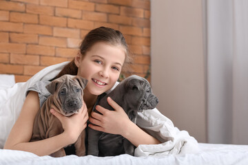 Cute girl with puppies at home