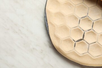 Raw dough for dumplings on light background