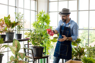 An elderly man handsome with have mustache wearing glasses is happy with tree care. is a hobby of gardening at home, living happily after retirement. Concepts nature and environment