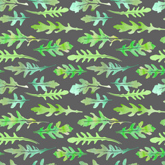 Seamless pattern of watercolor arugula leaves
