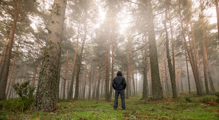 Lost man in the middle of the forest.