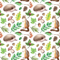 Watercolor seamless pattern with forest elements. Natural Illustration on white background with hedgehogs, ladybug, hazelnut,chipmunk, mushroom, beetle, acorn and leaves. © Екатерина Роменская
