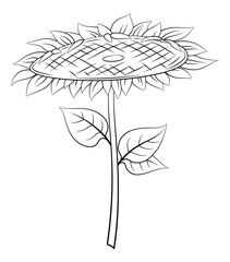 Sunflower with Leaves
