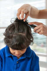 Fototapeta premium Mother treating daughter's hair against lice. Head lice treatment for schoolchild.