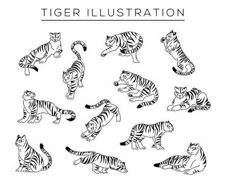 2 246 Best 肉食動物 Images Stock Photos Vectors Adobe Stock