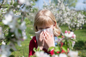 Little girl wipes her nose in a blossoming orchard. Pollen allergy