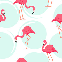 Tropical seamless flamingo pattern