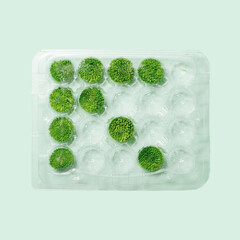 Abstract left arrow concept. Fresh green zinnia blossom flowers heads in recycle plastic box. Lovely pastel green background.