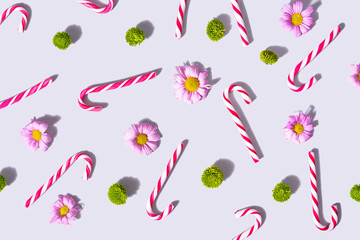 Pattern arrangment of red and white striped candy canes with lovely pink daisies and fresh green zinnia flower. Top view on a light gray background.