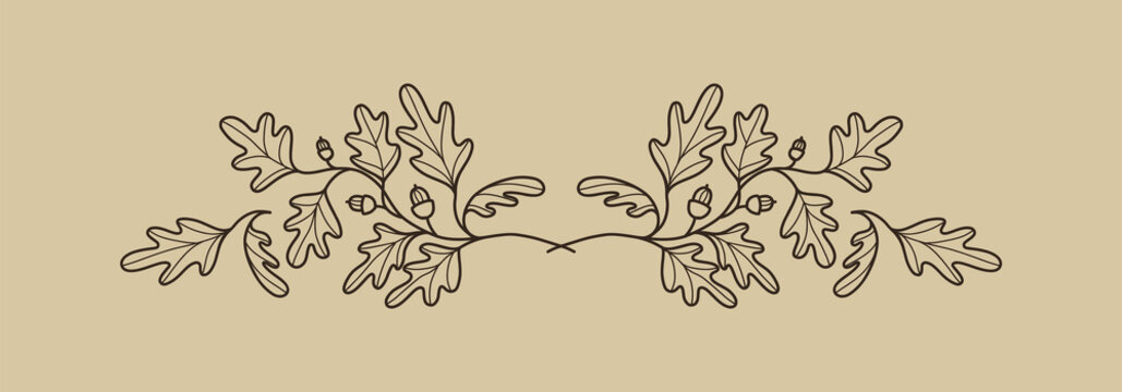 Decorative border element with oak leaves and acorns. Elegant botanical decoration for invitations, greetings, cards, covers, packaging, posters. Vector illustration