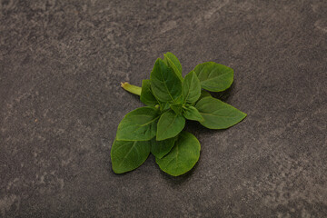 Aroma seasoning - Green Basil leaves
