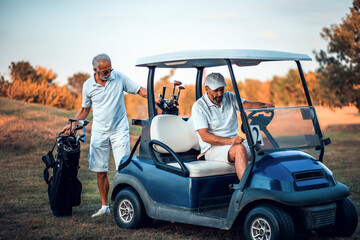 Two senior men golfers on court. Man sitting in golf cart.