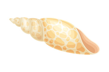 Seashell as Hard Marine Snail Shell Vector Illustration