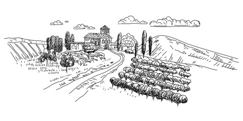 Vineyard hand drawn scetch. Landscape rural countryside France, Italy, Mediterranean vintage style. Vector illustration