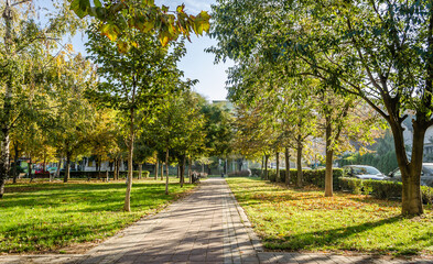 Fototapeta na wymiar City park in Novi Sad in the autumn period of the year. Panorama of the City Park in Novi Sad in the autumn period of the year.