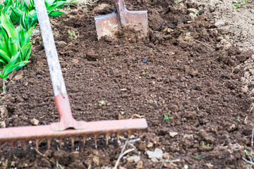 a dug up bed of earth a shovel is stuck in the ground in the foreground a rake in a blur