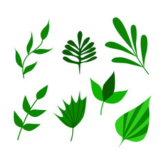A set of green twigs and leaves. Isolated on a white background. Vector illustration