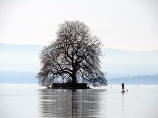 The Peilz Island with a large plane tree (Île de Peilz or Guano island) in Lake Geneva (lac de...