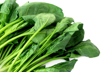ほうれん草と白い背景