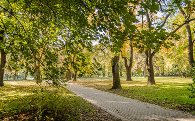 City park in Novi Sad in the autumn period of the year. "Walking trail among autumn trees in one of the parks of the city of Novi Sad - Serbia"