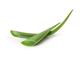Fototapeta premium Freshly cut aloe vera leaves isolated on white background. Multi-purpose natural, organic, nutritious, medicinal ingredient. Often used in food, health, and beauty-related products.