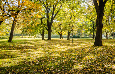 City park in Novi Sad in the autumn period of the year. Autumn landscape with sunny trees in the city park
