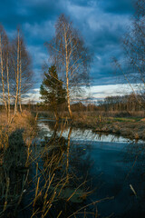 Evening spring sunset in nature