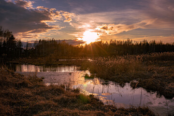Evening spring sunset in nature