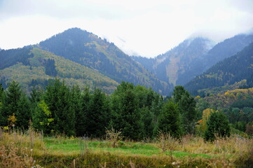 Fototapeta na wymiar Mountainous area near the city of Almaty with different vegetation, trees and fir trees.