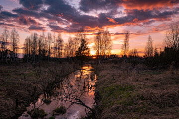 Evening spring sunset in nature