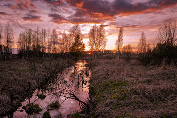 Evening spring sunset in nature