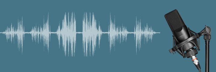 Professional studio microphone with waveform