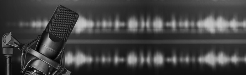 Professional studio microphone. Recording podcast or voice