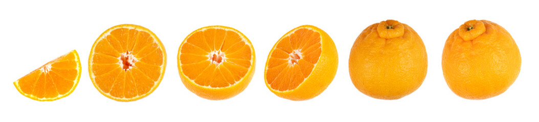 orange set of white background