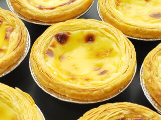 Several delicious egg tarts placed in a circle, dessert, top view
