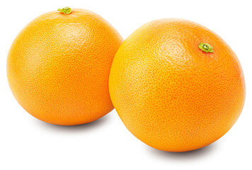 grapefruits isolated on white background. clipping path