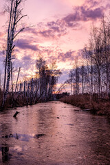Night in the reflection of the lake