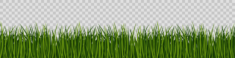 Green grass on transparent background. Seamless vector pattern.