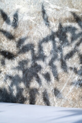 Abstract background from shadows gray concrete background. Sunlight leaves, soft shadows on the wall black and gray and white blurry. Light natural concrete background.
