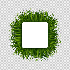 Green grass square frame on transparent background. Nature vector element.