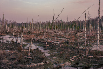 Night in the reflection of the lake