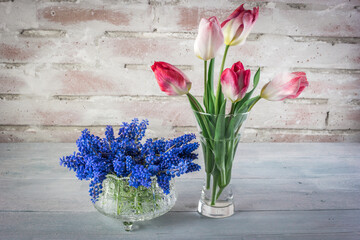 Flowers of tulips and grape hyacinths in a jar and crystal glass on a rustical brick wall