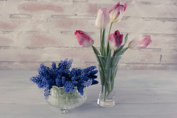 Flowers of tulips and grape hyacinths in a jar and crystal glass on a rustical brick wall, color graded