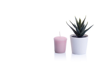 Fototapeta na wymiar cactus in a pot and and pink rose candle on white background