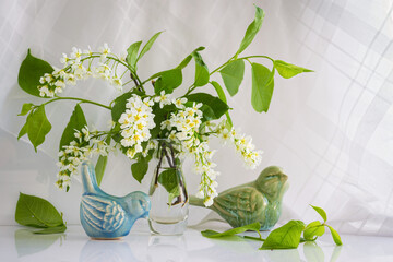 spring still life. white cherry flowers in a glass vase