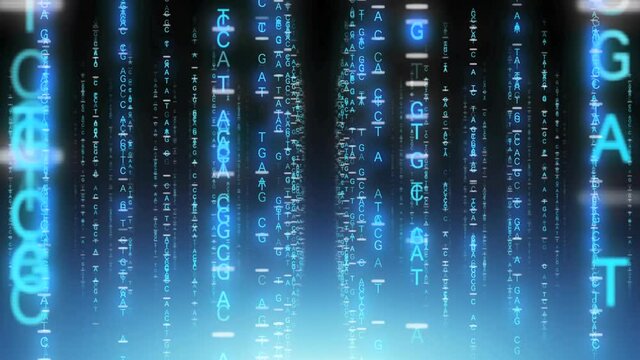 DNA塩基の文字の柱が並ぶ空間内を移動する（ループ可）