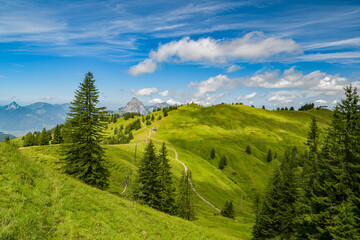 Walking trail leading tourists through beautiful nature of Swiss Alps