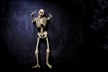 human skeleton isolated on black background. Skeletons pose