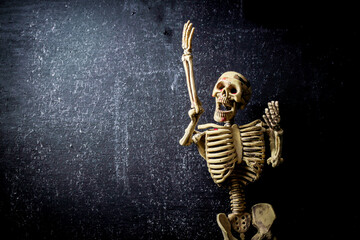 human skeleton isolated on black background. Skeletons pose