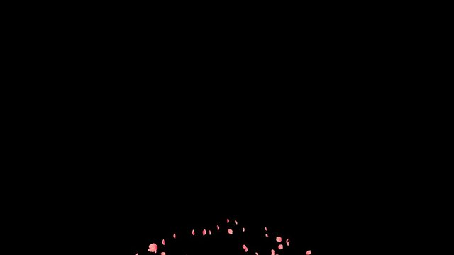 桜の花火５種類　QTアルファ付き